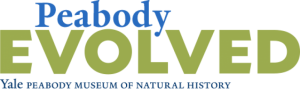 Peabody Evolved - Secondary Logo