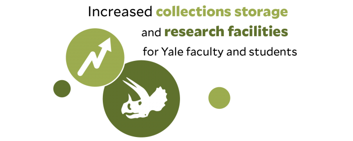 Increased collections storage and research facilities for Yale faculty and students