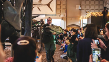Brontosaurus Heads-Off Community Day, 12/7/2019